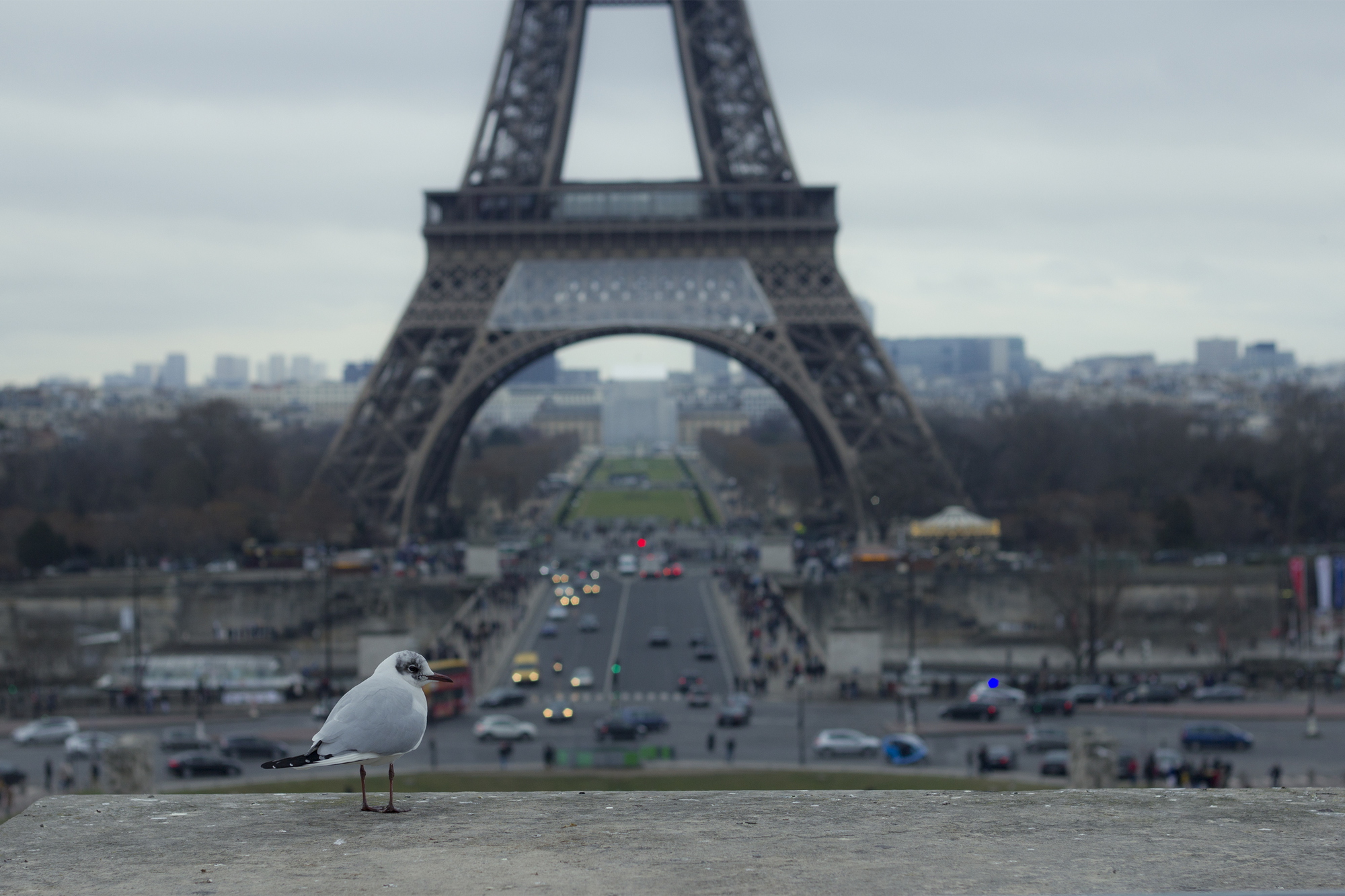 sunday in paris