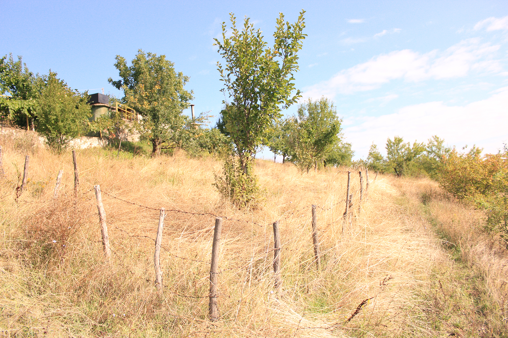 септемврийско утро, родопите